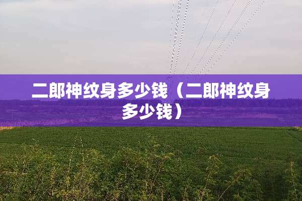 二郎神纹身多少钱（二郎神纹身多少钱）