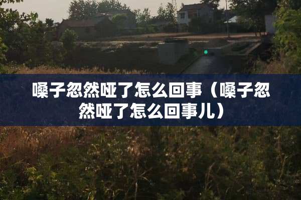 嗓子忽然哑了怎么回事（嗓子忽然哑了怎么回事儿）
