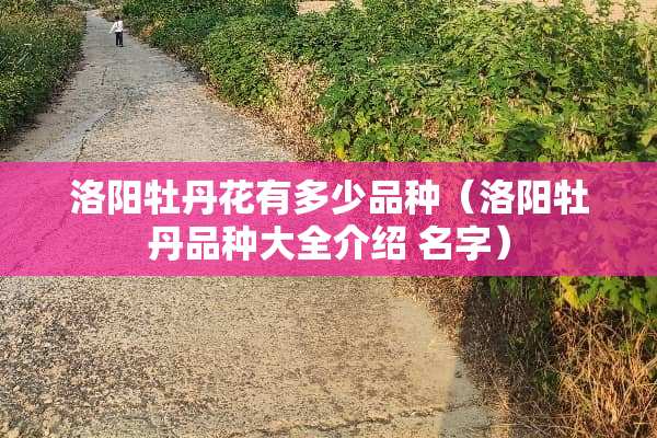 洛阳牡丹花有多少品种（洛阳牡丹品种大全介绍 名字）