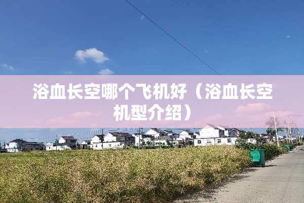 浴血长空哪个飞机好（浴血长空机型介绍）