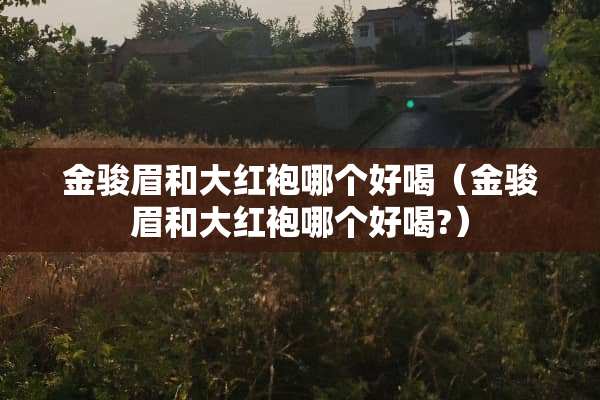 金骏眉和大红袍哪个好喝（金骏眉和大红袍哪个好喝?）