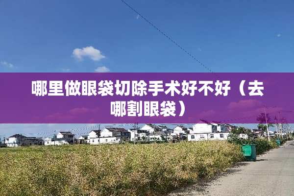 哪里做眼袋切除手术好不好（去哪割眼袋）