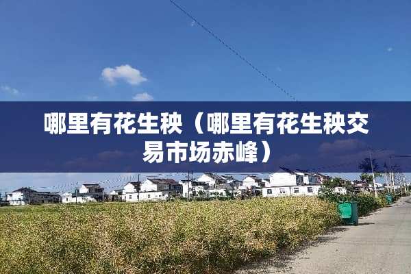 哪里有花生秧（哪里有花生秧交易市场赤峰）