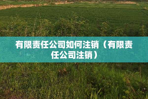 有限责任公司如何注销（有限责任公司注销）