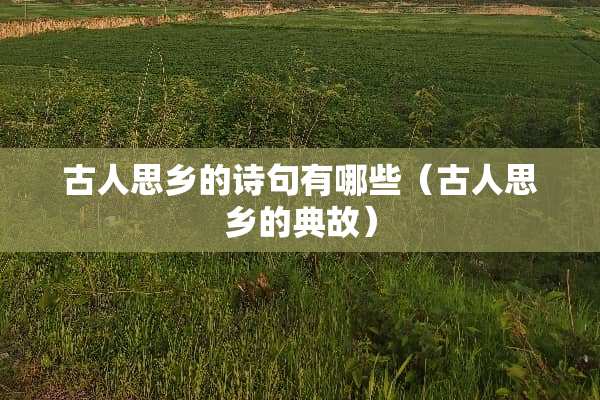 古人思乡的诗句有哪些（古人思乡的典故）