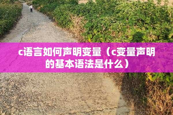 c语言如何声明变量（c变量声明的基本语法是什么）