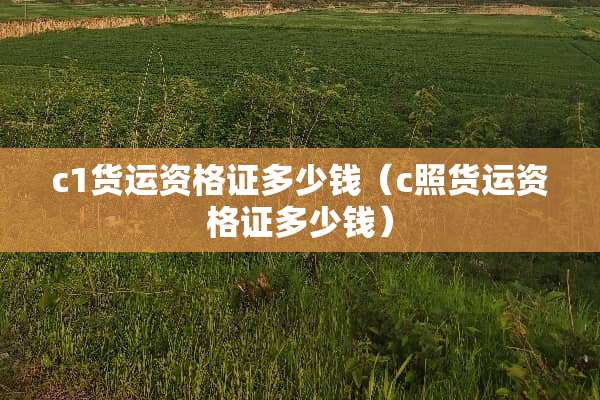 c1货运资格证多少钱（c照货运资格证多少钱）