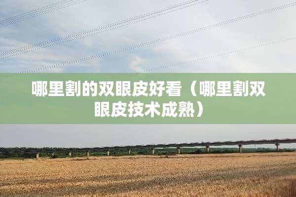 哪里割的双眼皮好看（哪里割双眼皮技术成熟）