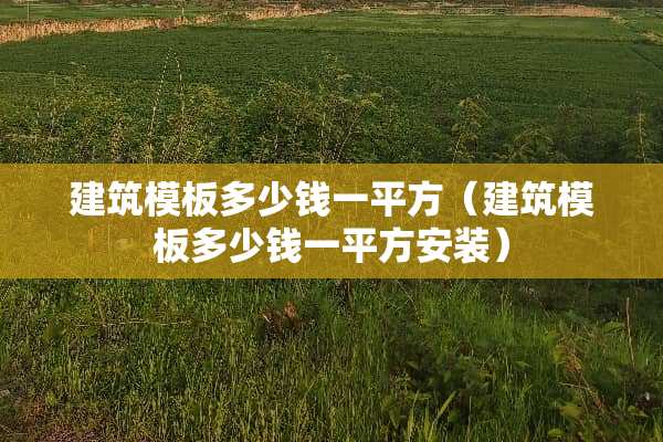 建筑模板多少钱一平方（建筑模板多少钱一平方安装）