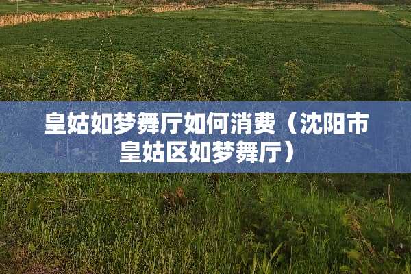 皇姑如梦舞厅如何消费（沈阳市皇姑区如梦舞厅）