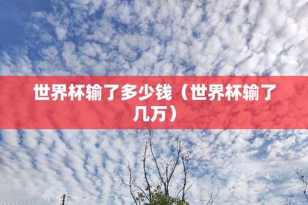 世界杯输了多少钱（世界杯输了几万）