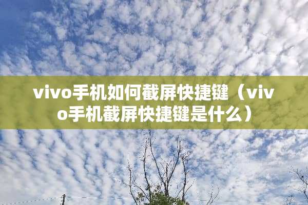 vivo手机如何截屏快捷键（vivo手机截屏快捷键是什么）