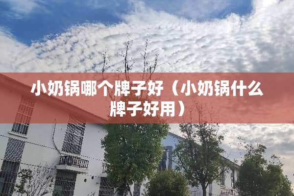 小奶锅哪个牌子好（小奶锅什么牌子好用）