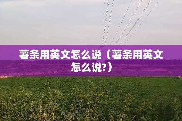 薯条用英文怎么说（薯条用英文怎么说?）