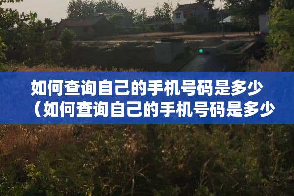 如何查询自己的手机号码是多少（如何查询自己的手机号码是多少oppo手机）