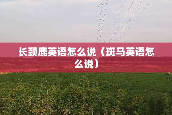 长颈鹿英语怎么说（斑马英语怎么说）