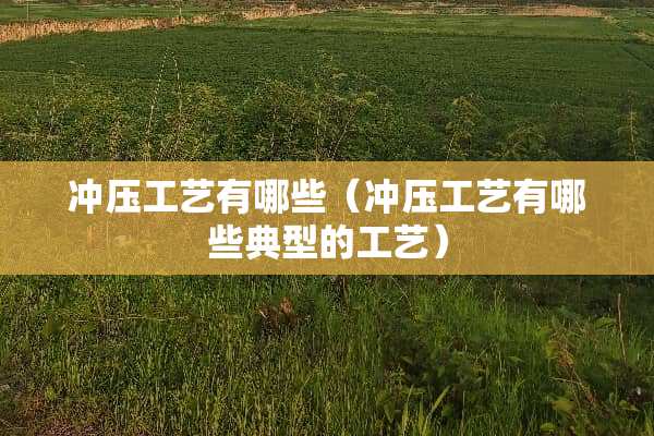 冲压工艺有哪些（冲压工艺有哪些典型的工艺）