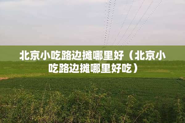 北京小吃路边摊哪里好（北京小吃路边摊哪里好吃）