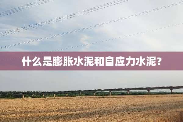 什么是膨胀水泥和自应力水泥？
