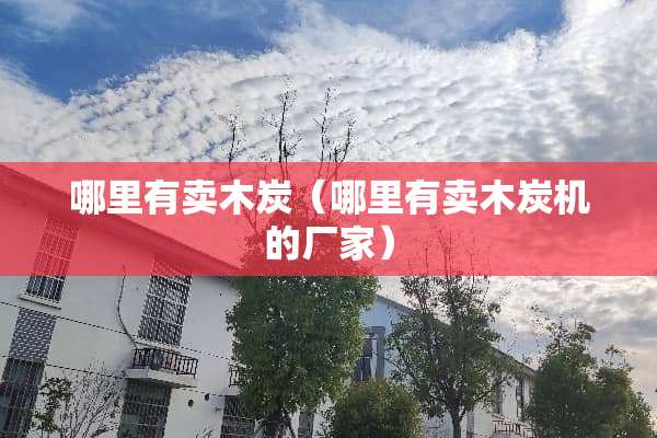 哪里有卖木炭（哪里有卖木炭机的厂家）