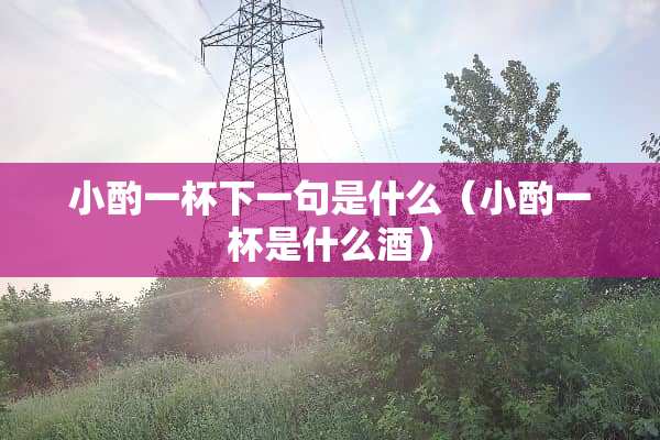 小酌一杯下一句是什么（小酌一杯是什么酒）