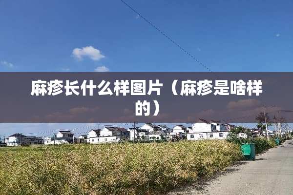 麻疹长什么样图片（麻疹是啥样的）