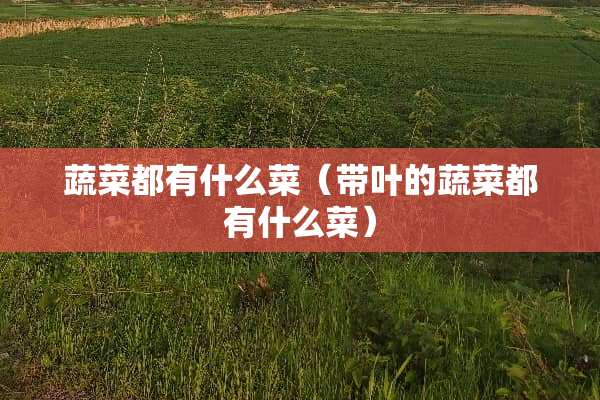 蔬菜都有什么菜（带叶的蔬菜都有什么菜）