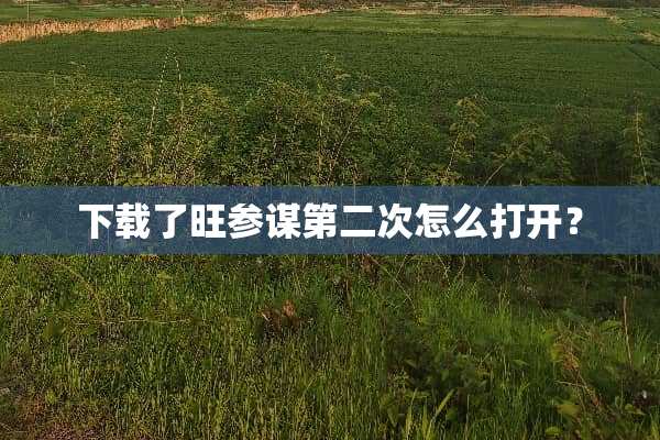 下载了旺参谋第二次怎么打开？