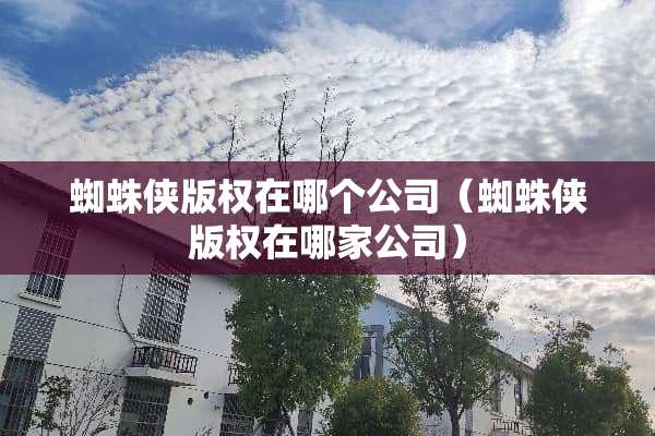 蜘蛛侠版权在哪个公司（蜘蛛侠版权在哪家公司）