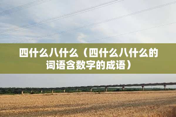 四什么八什么（四什么八什么的词语含数字的成语）