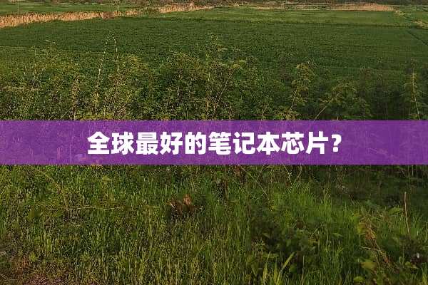 全球最好的笔记本芯片？