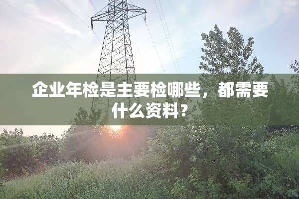 企业年检是主要检哪些，都需要什么资料？