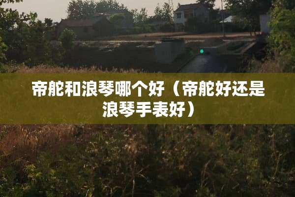帝舵和浪琴哪个好（帝舵好还是浪琴手表好）