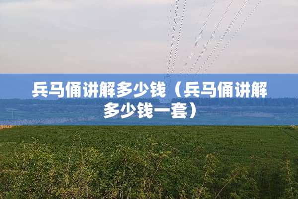 兵马俑讲解多少钱（兵马俑讲解多少钱一套）