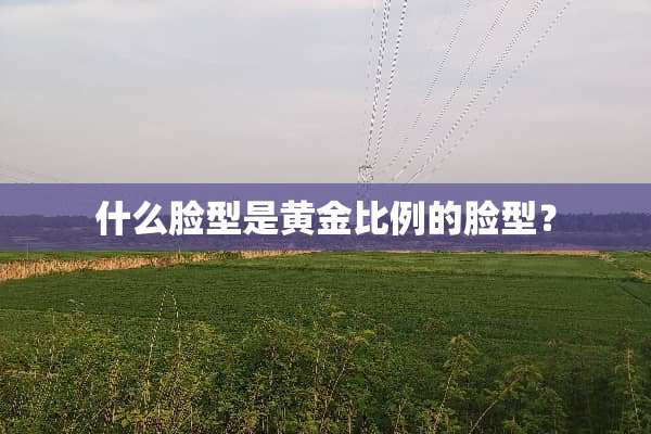 什么脸型是黄金比例的脸型？