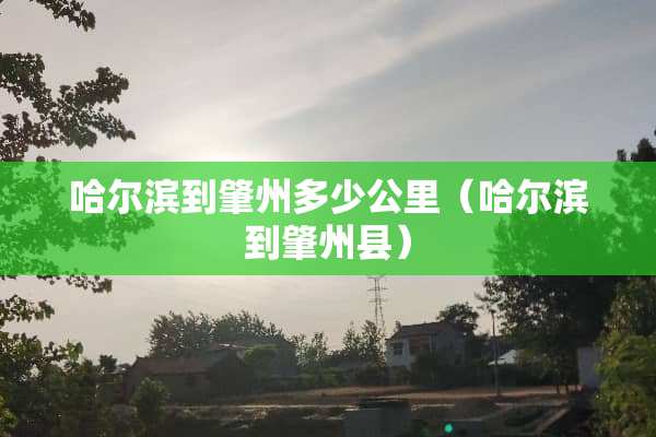 哈尔滨到肇州多少公里（哈尔滨到肇州县）