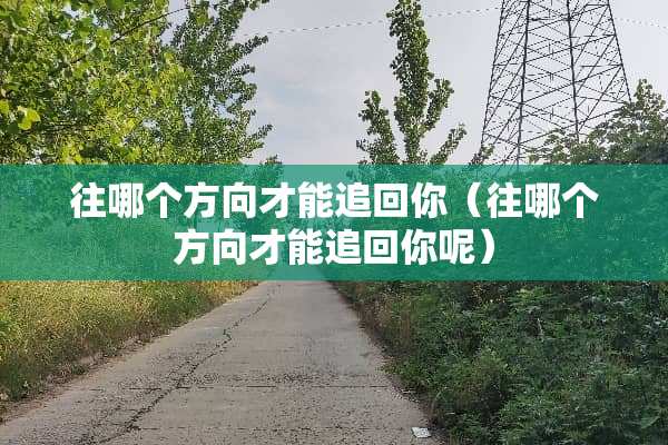 往哪个方向才能追回你（往哪个方向才能追回你呢）