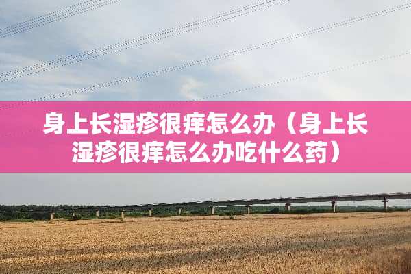 身上长湿疹很痒怎么办（身上长湿疹很痒怎么办吃什么药）