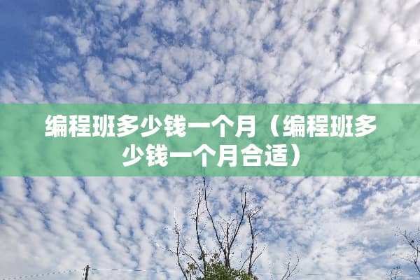 编程班多少钱一个月（编程班多少钱一个月合适）