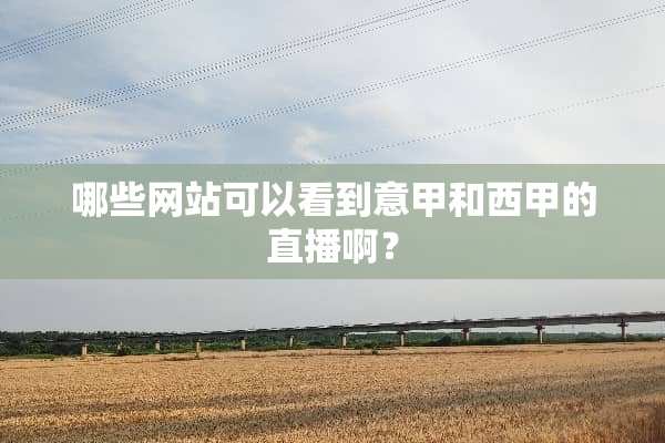 哪些网站可以看到意甲和西甲的直播啊？