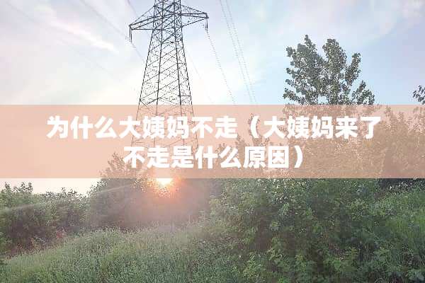 为什么大姨妈不走（大姨妈来了不走是什么原因）