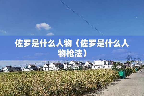 佐罗是什么人物（佐罗是什么人物*法）