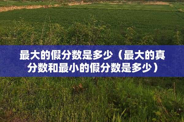 最大的假分数是多少（最大的真分数和最小的假分数是多少）