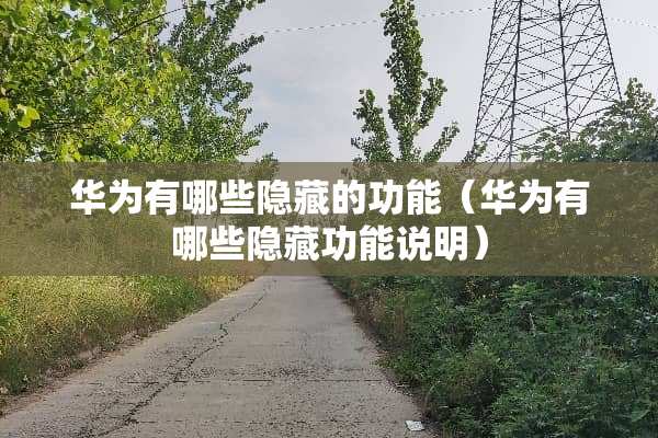 华为有哪些隐藏的功能（华为有哪些隐藏功能说明）