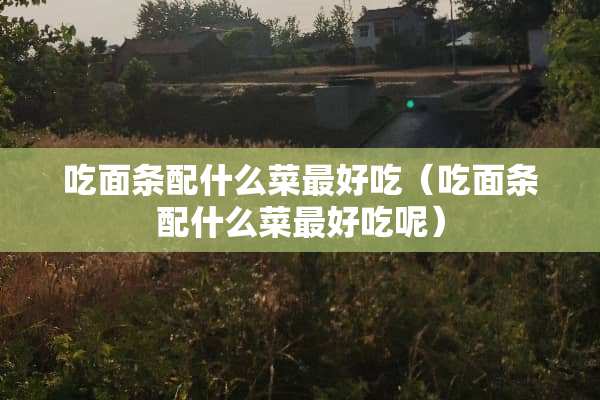 吃面条配什么菜最好吃（吃面条配什么菜最好吃呢）
