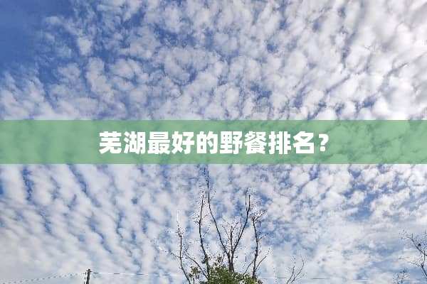 芜湖最好的野餐排名？