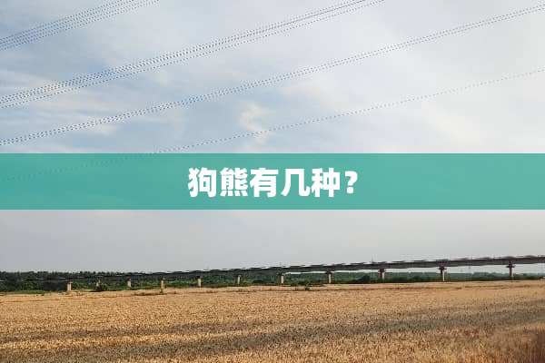 狗熊有几种？