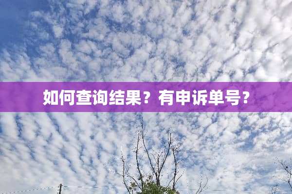 如何查询结果？有申诉单号？
