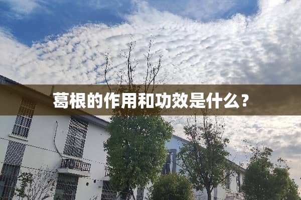 葛根的作用和功效是什么？
