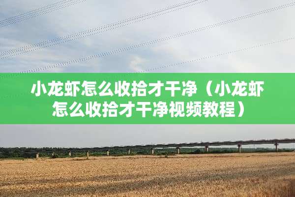 小龙虾怎么收拾才干净（小龙虾怎么收拾才干净视频教程）